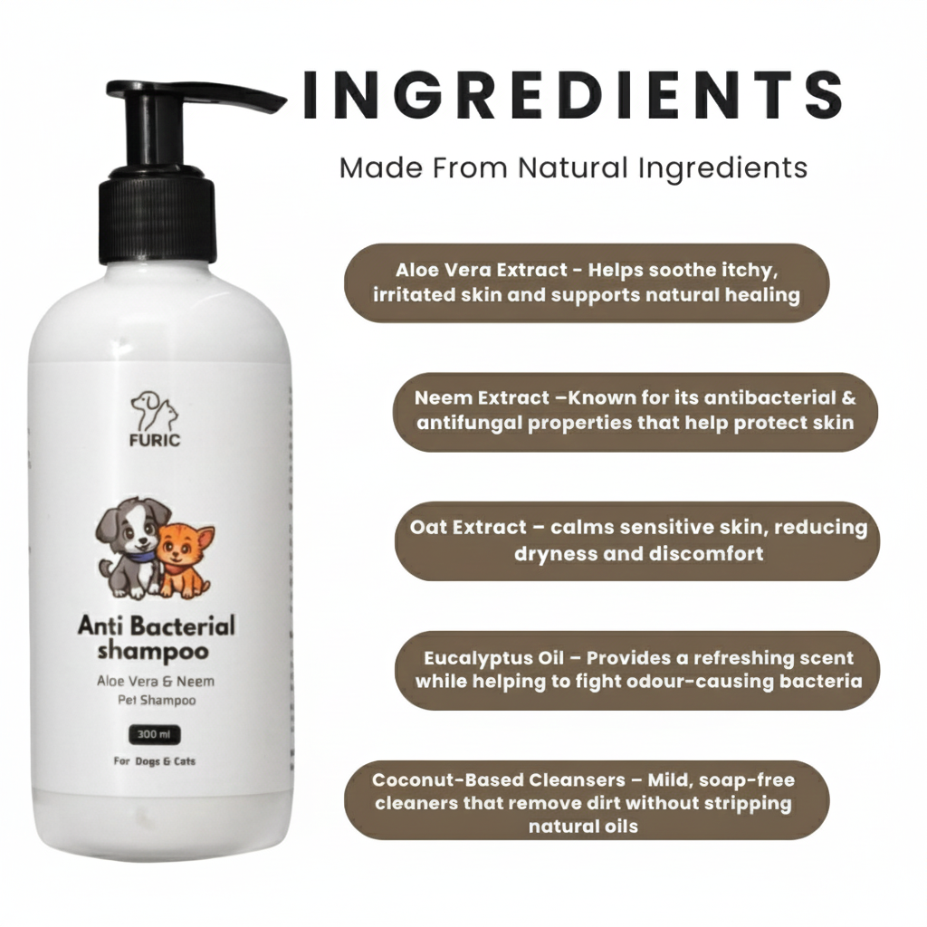 Anti Bacterial Shampoo - 300ml